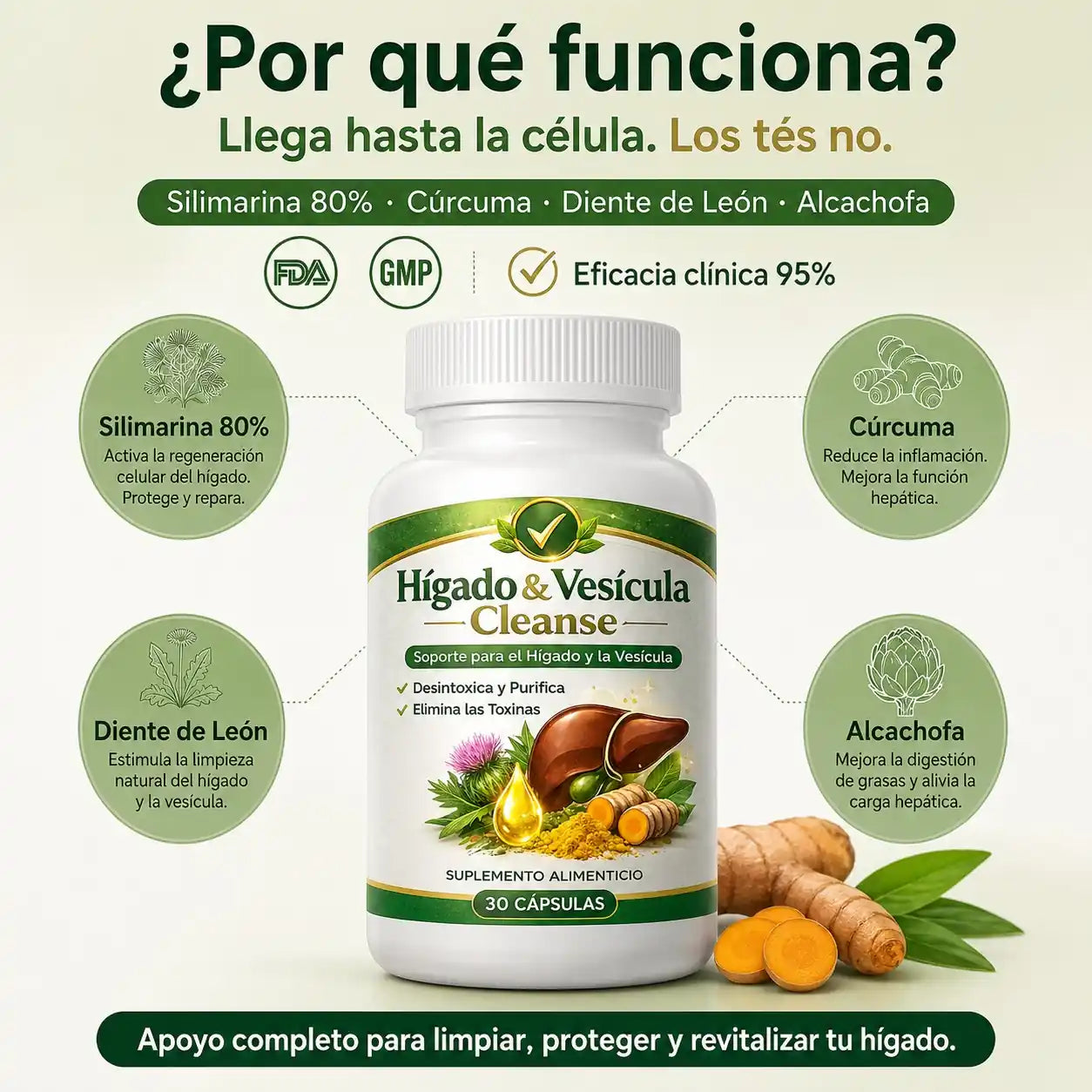 Tu hígado saturado está detrás de todo lo que sentís